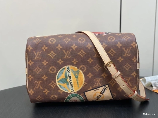 Louis SPEEDY BANDOULIERE 30 Vuitton 0803